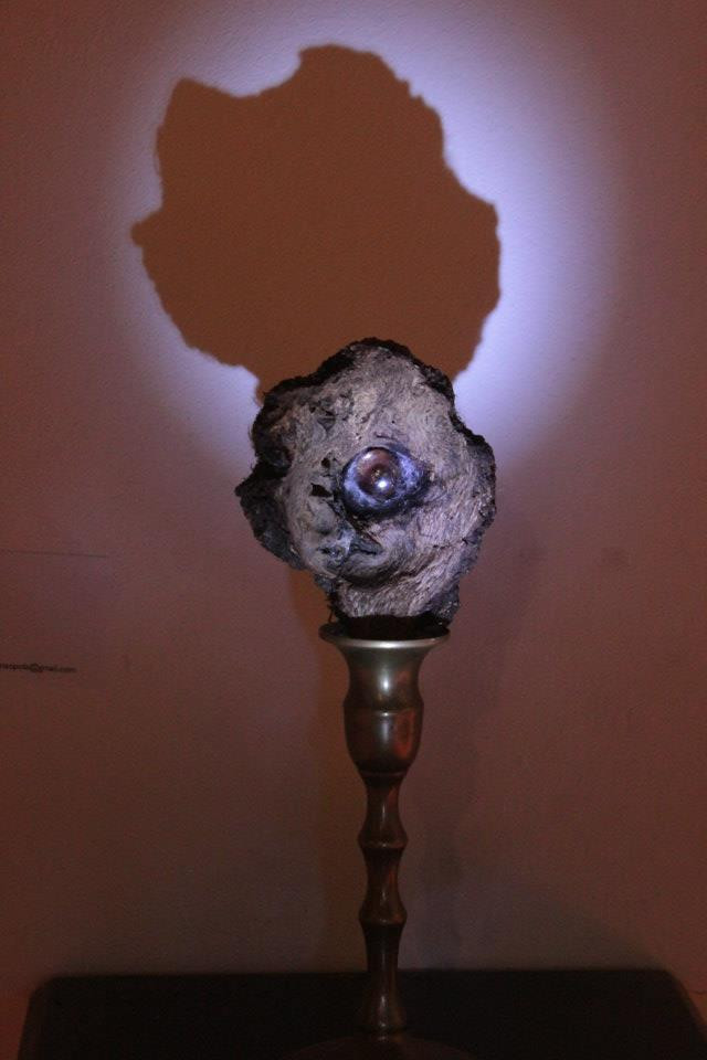 The Eye of the Forest